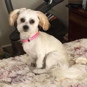 Meet your Posher, Joanne